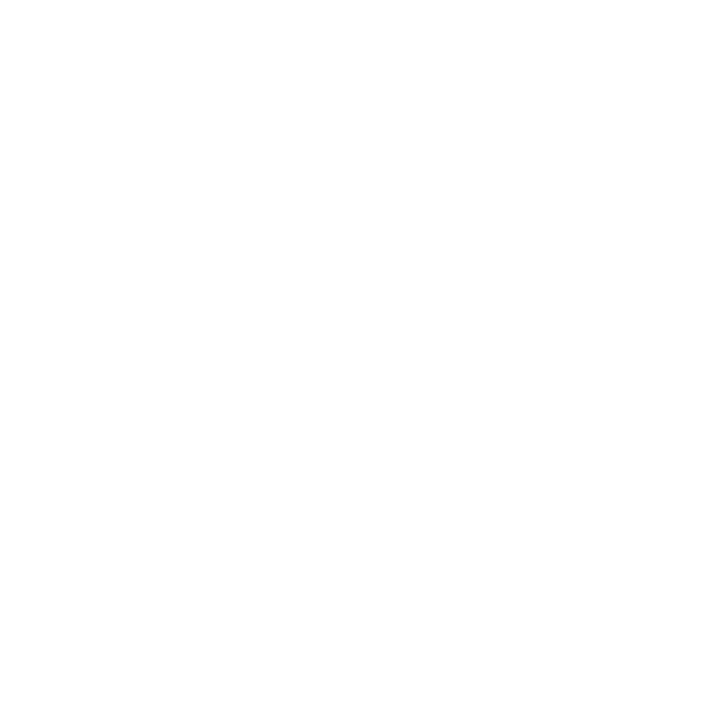 Magic Mountain Logo blanco